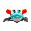 Dancing Crab