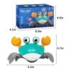 Dancing Crab